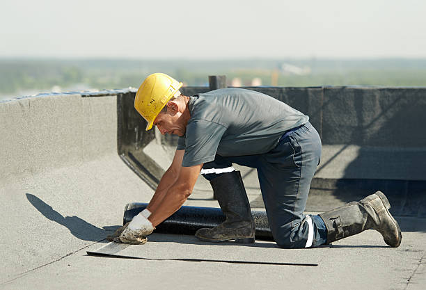 Best Insulation Maintenance and Repair in Sterling, GA
